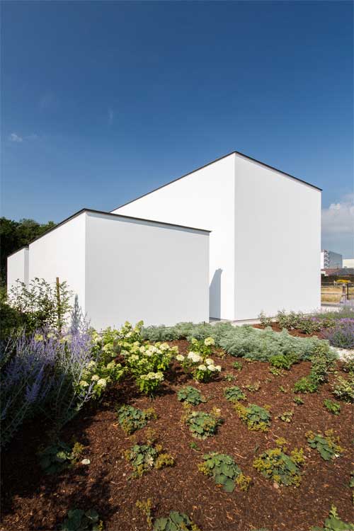 Project DEBI Architect Tom Mahieu