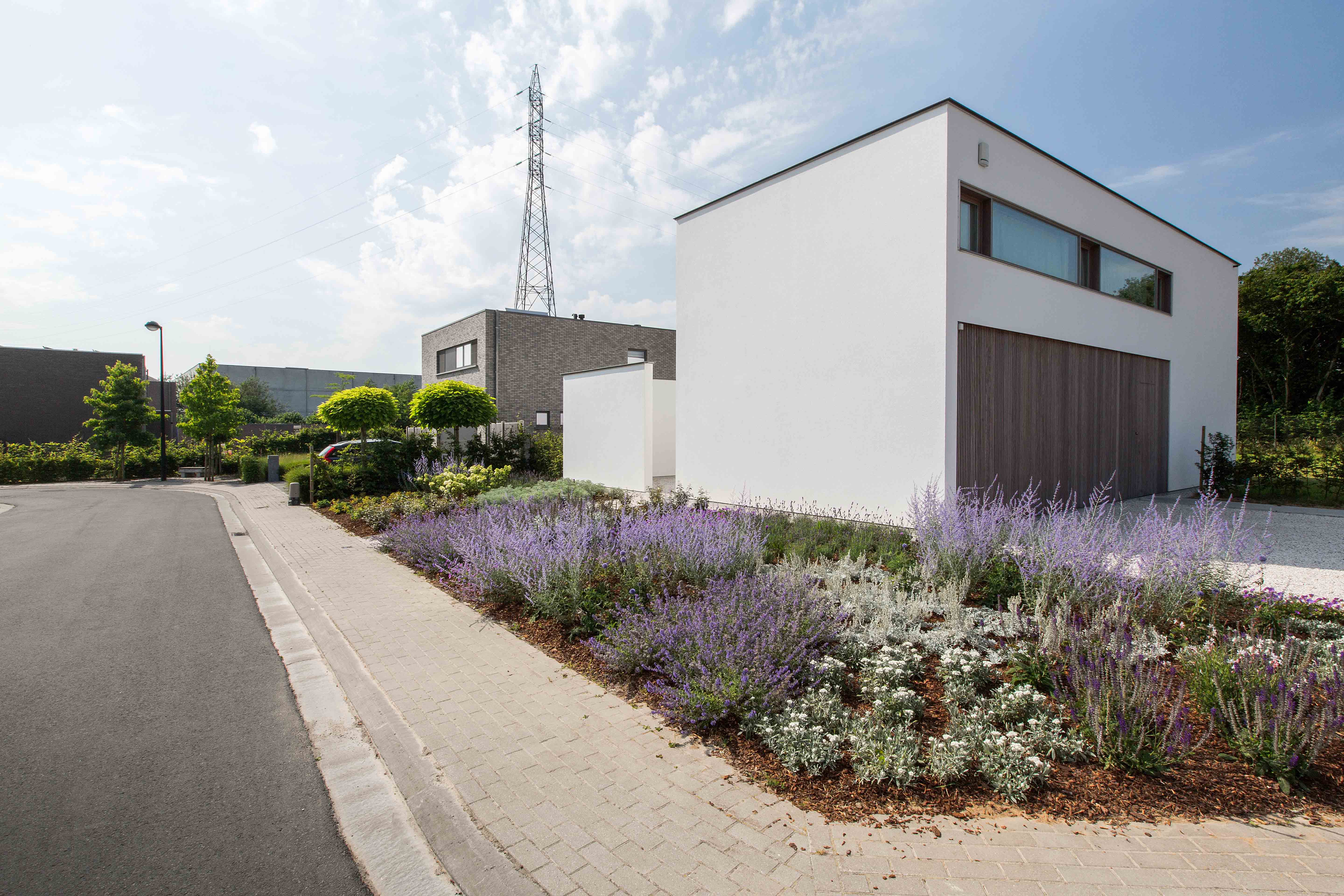 Project DEBI Architect Tom Mahieu