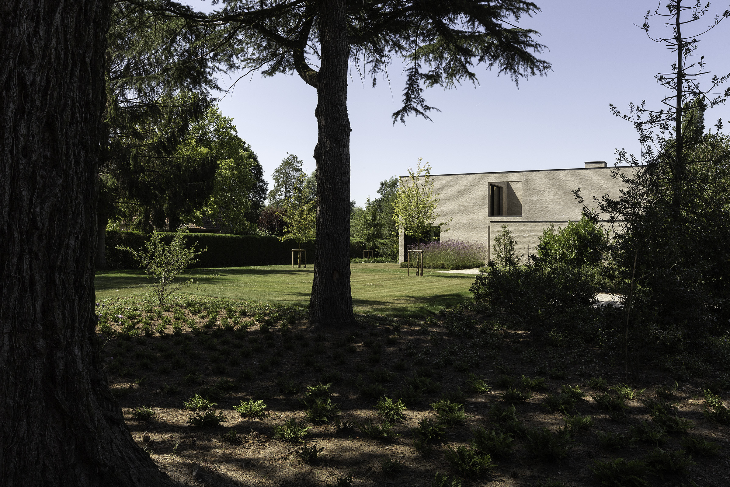 Project GESI Architect Tom Mahieu