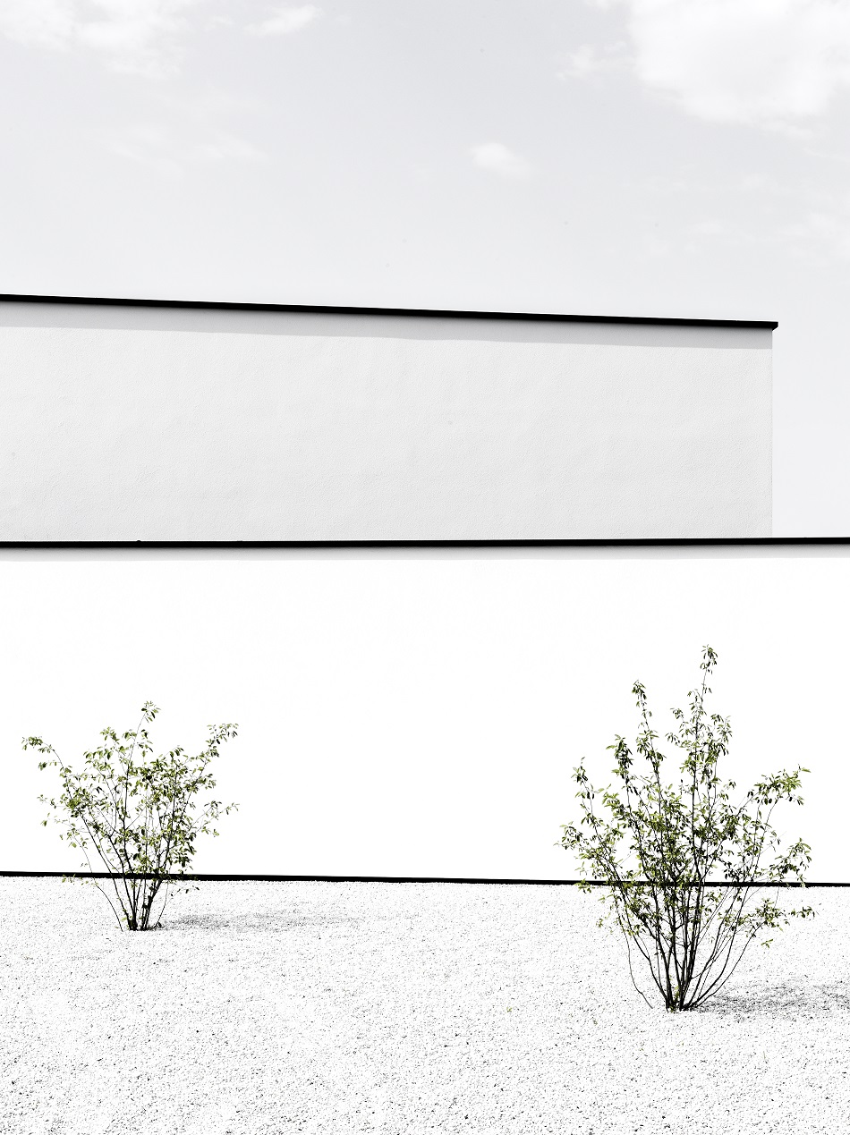 Project CHAN Architect Tom Mahieu