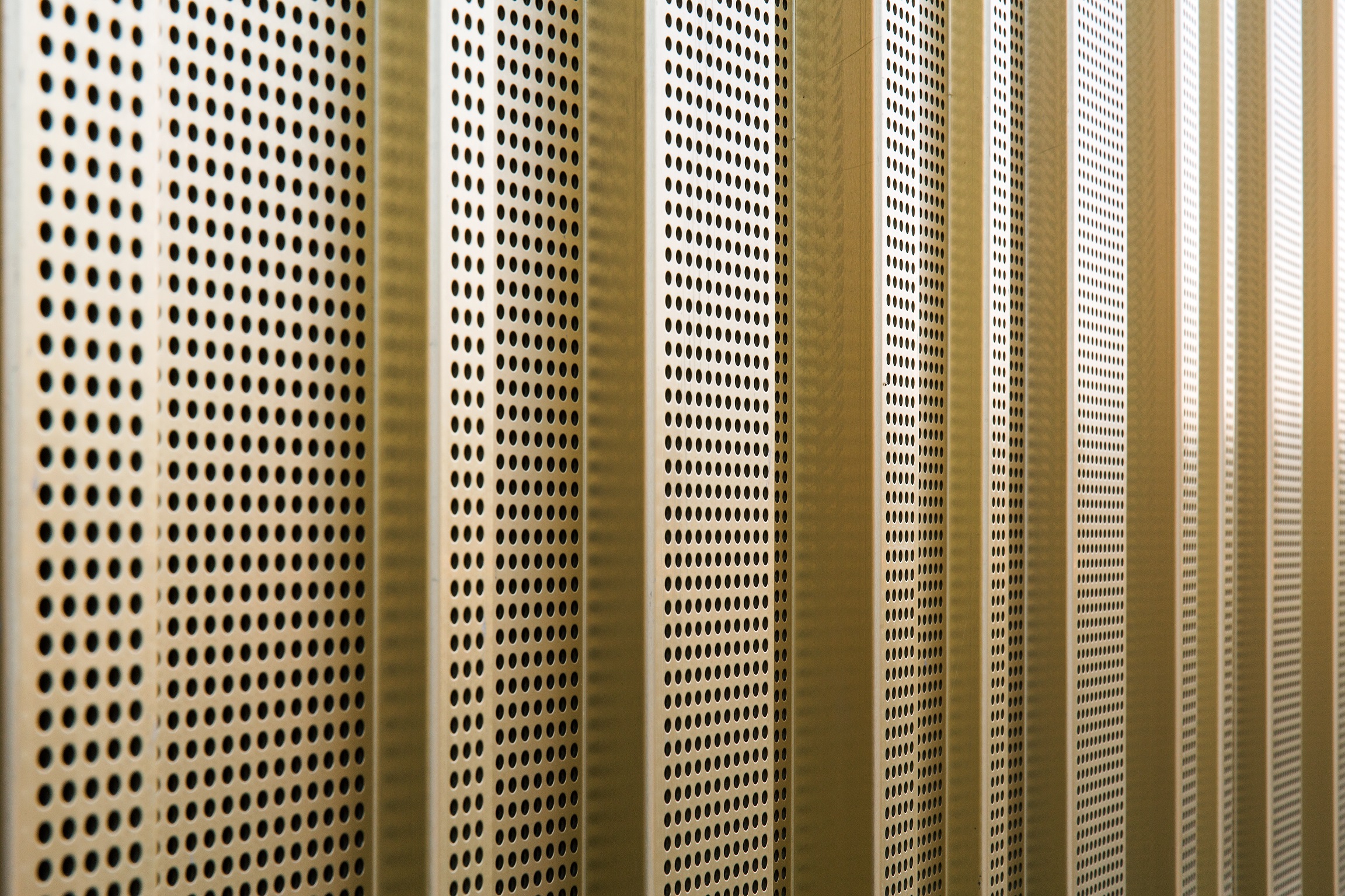 Project QUIP Architect Tom Mahieu