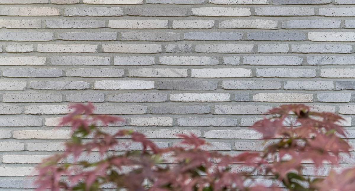 Project WOMA Architect Tom Mahieu