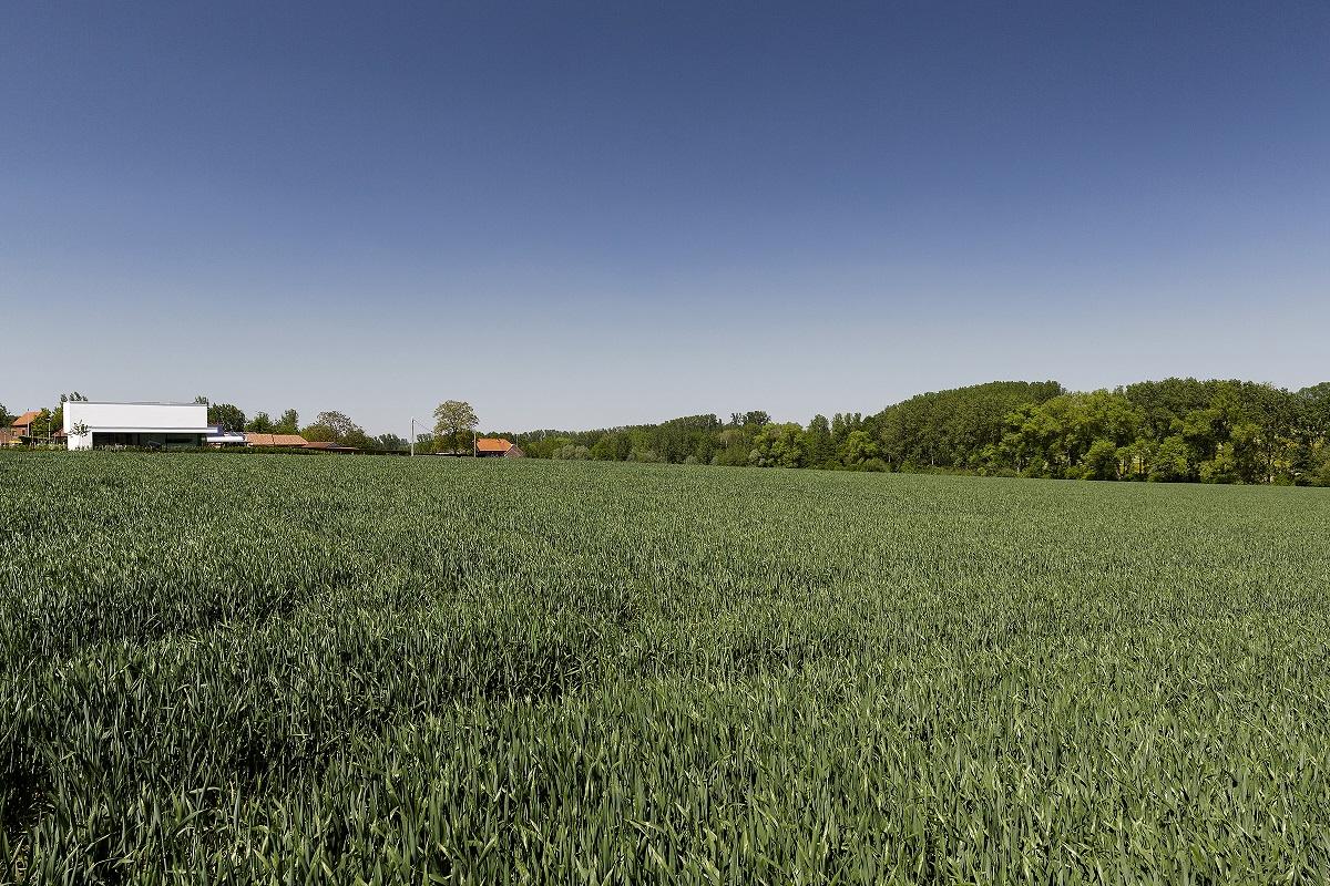 Project RUCA Architect Tom Mahieu